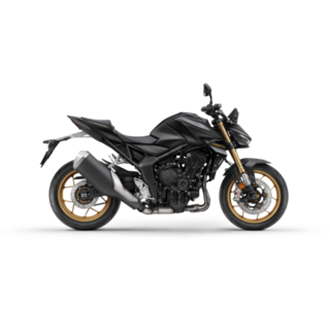 CB1000 Hornet SP image